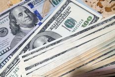 El BCRA suma dólares Foto: ALF PONCE MERCADO / MDZ