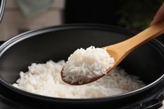 El arroz es uno de los alimentos más consumidos por millones de personas Foto: Shutterstock
