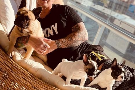 El perro de Fernando Pérez Algaba fue reclamado por un amigo del comerciante Foto: Instagram Fernando Pérez Algaba