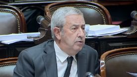 El diputado nacional Julio Cobos.