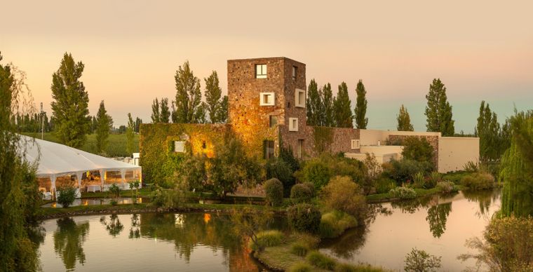 Una postal de la bodega. Foto: Bodega Renacer