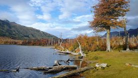 Foto: Monica Cristina Montcchia/Google Maps