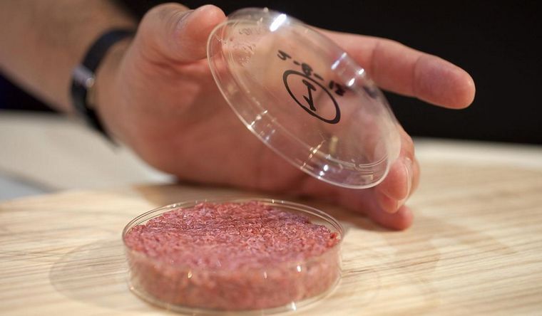 carne cultivada La carne de laboratorio, lo que se viene. Foto: Efe.