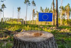 Diversos actores del sector agropecuario argentino celebraron el anuncio Foto: Shutterstock