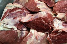 Foto: ALF PONCE MERCADO / MDZ