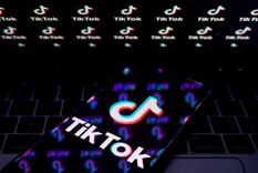 TikTok, video viral, redes sociales Foto: Archivo MDZ