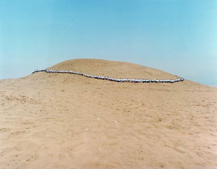 423652.jpg