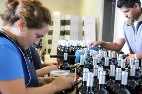 En Argentina hay 1 de cada 2 trabajadores en la informalidad. En Argentina hay 1 de cada 2 trabajadores en la informalidad.