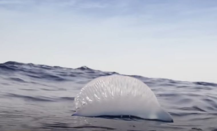 Foto: Captura de video