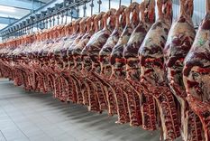 Exportaciones de carne vacuna Exportaciones de carne vacuna
