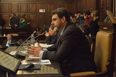 El Senado convirtió en ley el proyecto que castiga la negligencia estatal &nbsp;