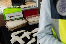 En los últimos se ha dado una presencia de los carteles mexicanos en la producción de drogas sintéticas en territorio europeo. En los últimos se ha dado una presencia de los carteles mexicanos en la producción de drogas sintéticas en territorio europeo.