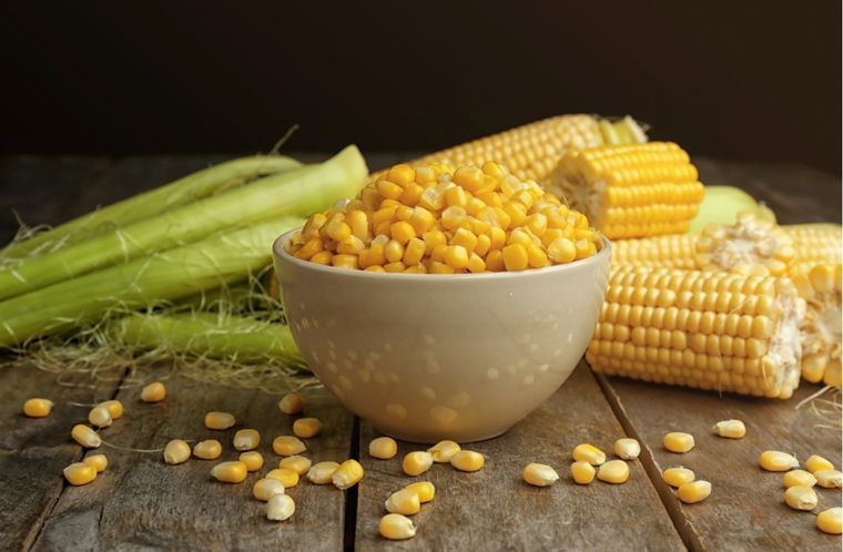 Aprovecha todos los residuos orgánicos de casa para crear un abono casero. Foto: Shutterstock Aprovecha todos los residuos orgánicos de casa para crear un abono casero. Foto: Shutterstock