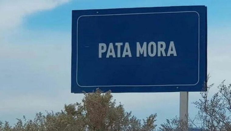 Para acceder a la licitación, las consultoras interesadas deberán presentar ofertas para desarrollar los proyectos ejecutivos integrales en Pata Mora
