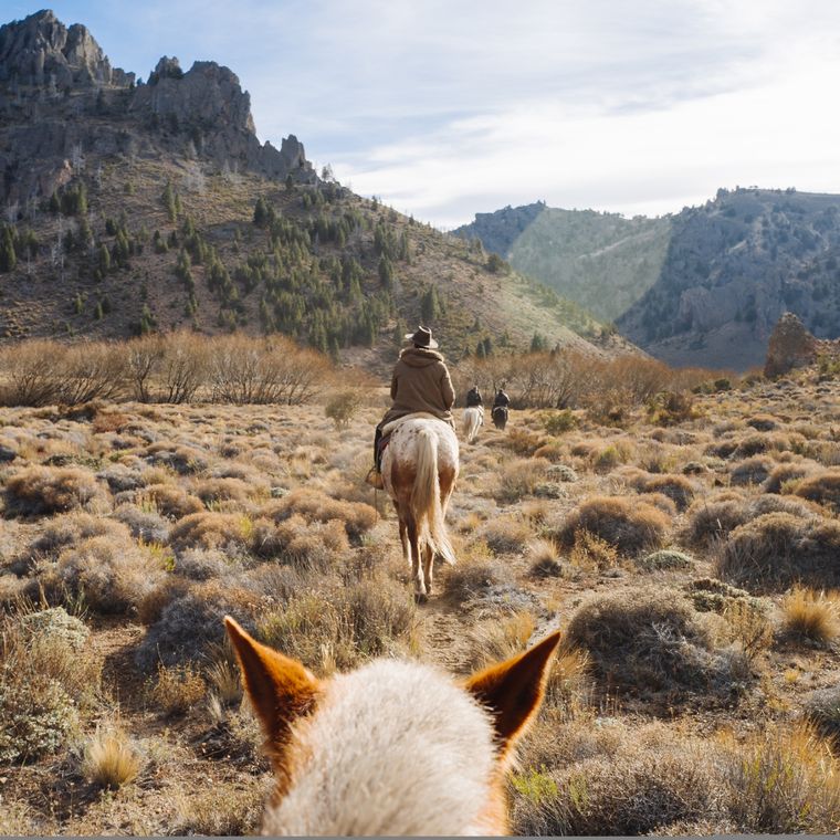 El próximo fin de semana contará con un día feriado. Foto: @visitargentina
