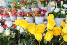 Foto: Nacho Gaffuri / MDZ