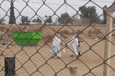 La mujer fue encontrada en un descampado en calle Junín de Las Heras, en Mendoza. La mujer fue encontrada en un descampado en calle Junín de Las Heras, en Mendoza.