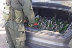 Los loros estaban en pésimas condiciones de salud y eran transportados bajo la ola de calor que alerta al país