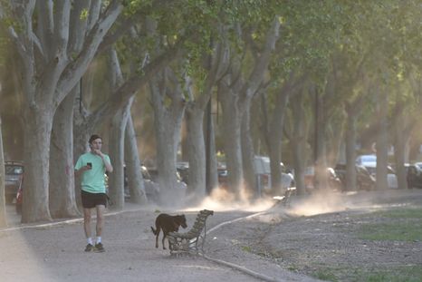 Las ráfagas de viento Zonda impactarán en el llano en horas de la tarde Foto: MDZ Las ráfagas de viento Zonda impactarán en el llano en horas de la tarde Foto: MDZ