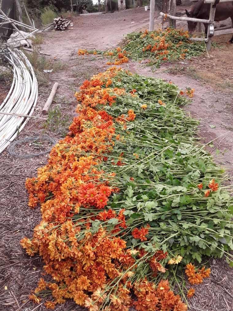 Las pérdidas del sector son irrecuperables. Por eso piden que se habilite la venta online y el delivery