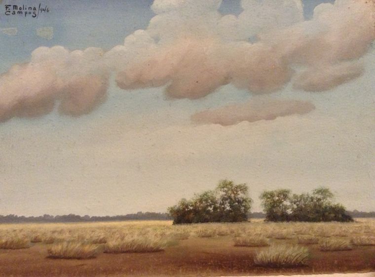 “Paisaje” Foto: @Gonzalo Giménez Molina, Fundación FMC