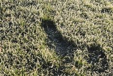 Con constancia y cuidados básicos, el césped del jardín puede recuperarse incluso en pleno verano.