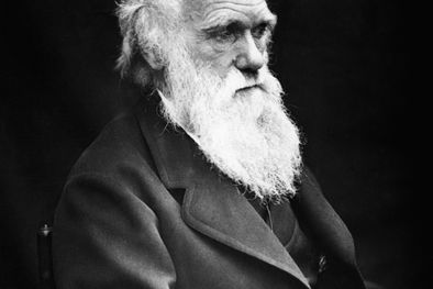 MDZol | Charles Darwin Foto: Wikipedia