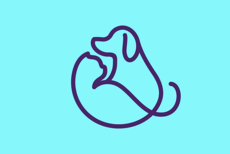 test de personalidad test de personalidad