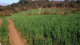 Un pueblo para conocer por dentro. Un pueblo para conocer por dentro.