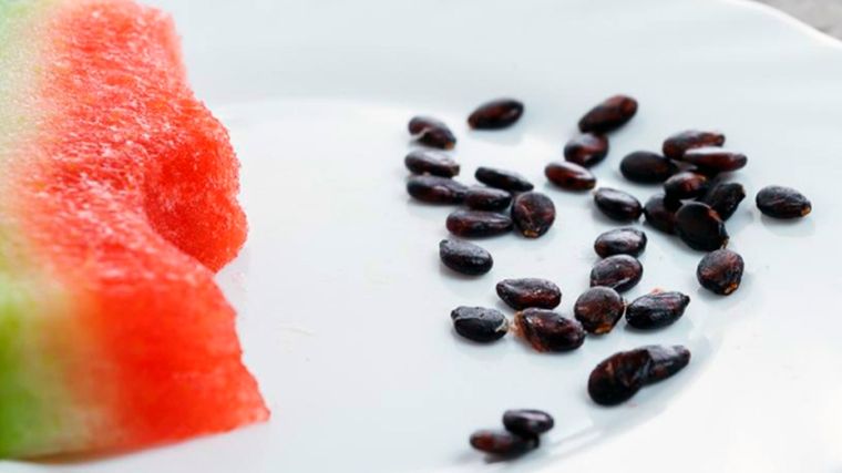 Semillas de sandía. Foto: Remains - lavanguardia.com