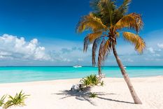 Playa Norte es la playa número uno de México según los viajeros Foto: Senator Riviera Cancún Spa Resort