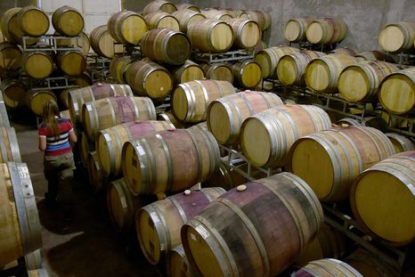 Las exportaciones mostraron un repunte en el primer trimestre del 2026 para el vino argentino. Las exportaciones mostraron un repunte en el primer trimestre del 2026 para el vino argentino.