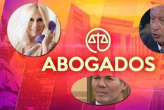 por los problemas en ideas del sur, el trece bajo de su grilla abogados