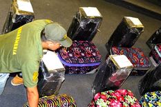 Iván Blizniouk y Alexander Chikalo habían sido condenados en 2022 como “partícipes primarios” de almacenamiento de estupefacientes agravado. Foto: Fiscales.gob.ar