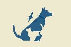 Test de personalidad