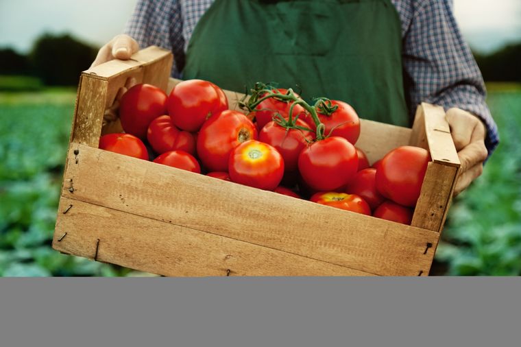 Los productores se encuentran en alerta por un alerta fitosanitario Foto: Shutterstock