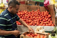 3 efectos que pueden tener los aranceles que trump impuso a los tomates mexicanos 3 efectos que pueden tener los aranceles que trump impuso a los tomates mexicanos