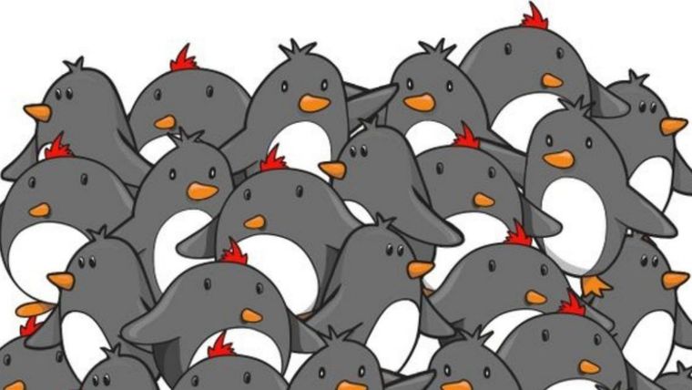 ACERTIJO VISUAL ACERTIJO VISUAL, RETO VISUAL, PINGÜINO Foto: ARCHIVO