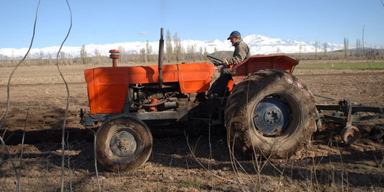 Diferentes opiniones en torno a las ayudas para el agro local. Foto: MDZ