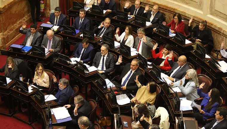 El bloque de Unión por la Patria busca rechazar los pliegos de Lijo y García Mansilla Foto: NA