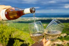 yo no tomo vinos blancos