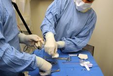 El derecho a la salud busca disfrutar el grado máximo de salud., no podemos alcanzar una vida digna si no gozamos de salud, Foto: MDZ