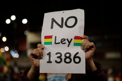 MDZol | La ley 1386 o ley madre causó serias protestas en Bolivia. Foto: GETTY IMAGES