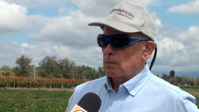 Cosme Argerich, referente de la producción de tomate en el agro mendocino, falleció este viernes en un accidente fatal.&nbsp;