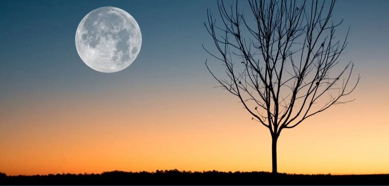 Las superlunas pueden cambiar el estado anímico de las personas. Foto: Pexels