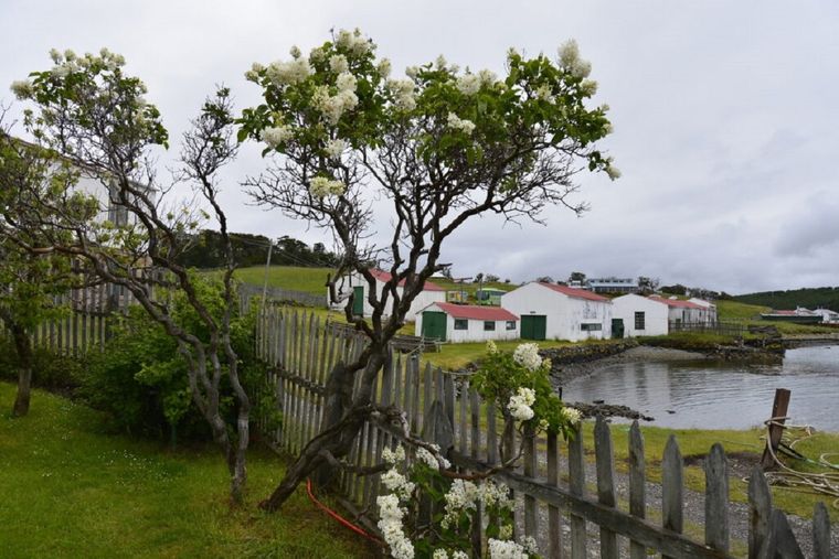 Este pueblo es el más austral de Argentina Foto: Puerto Almanza