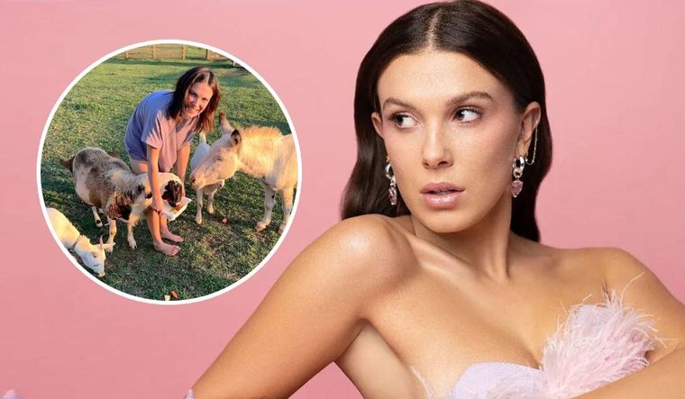 Millie Bobby Brown tiene muchas mascotas en su hogar.