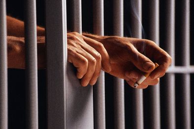 MDZol | Foto: Plaza Poética