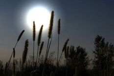 Este es el calendario de enero 2024, conocelo en esta nota Foto: Freepik