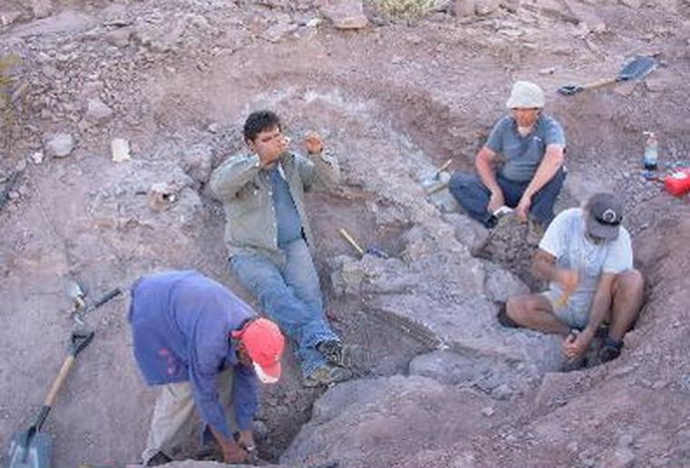 El saurio fue descubierto en Neuquén. Foto: Gentileza Diario Río Negro